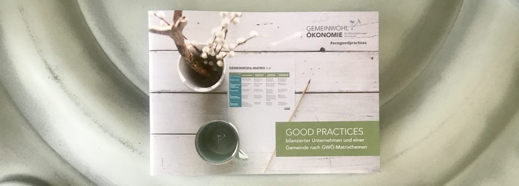 GWÖ Broschüre „Good Practices“ (2021)